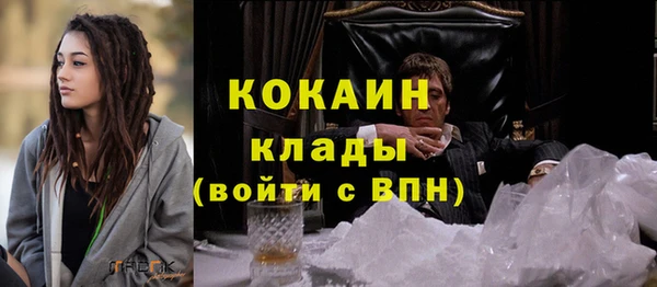 твердый Абаза