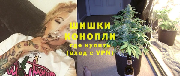 твердый Абаза