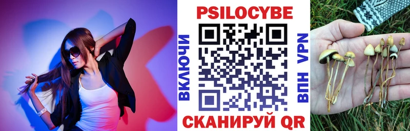 купить наркоту  Агрыз  Галлюциногенные грибы Cubensis 